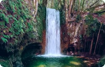 Cachoeira em meio à mata da Chapada das Mesas