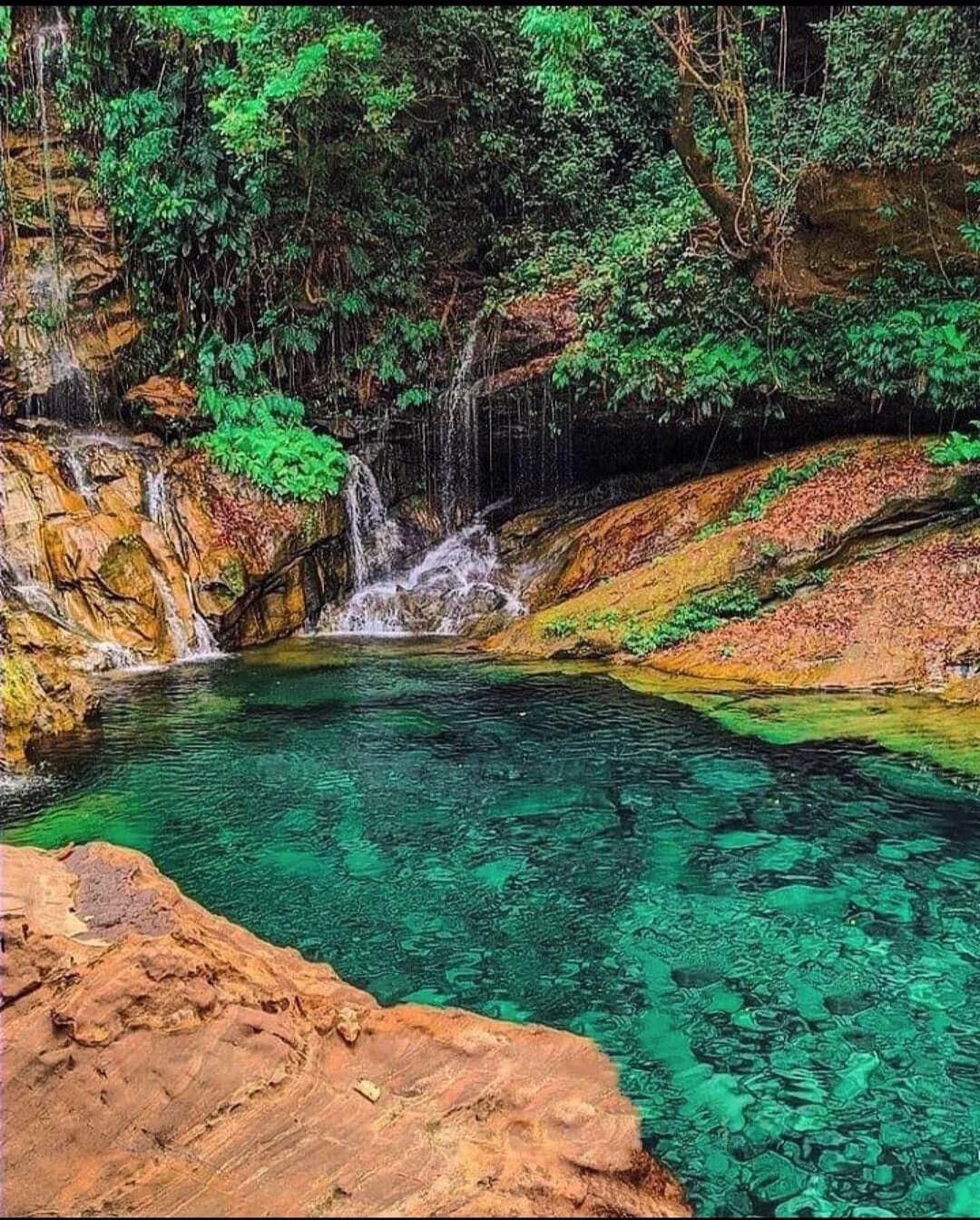 Poço de águas esmeralda na Chapada das Mesas